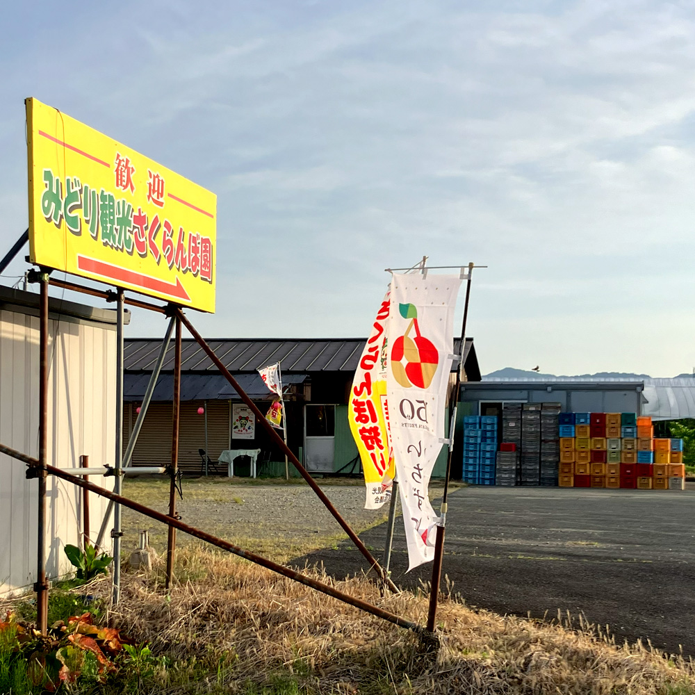 みどり観光さくらんぼ園（南部観光さくらんぼ園） 外観