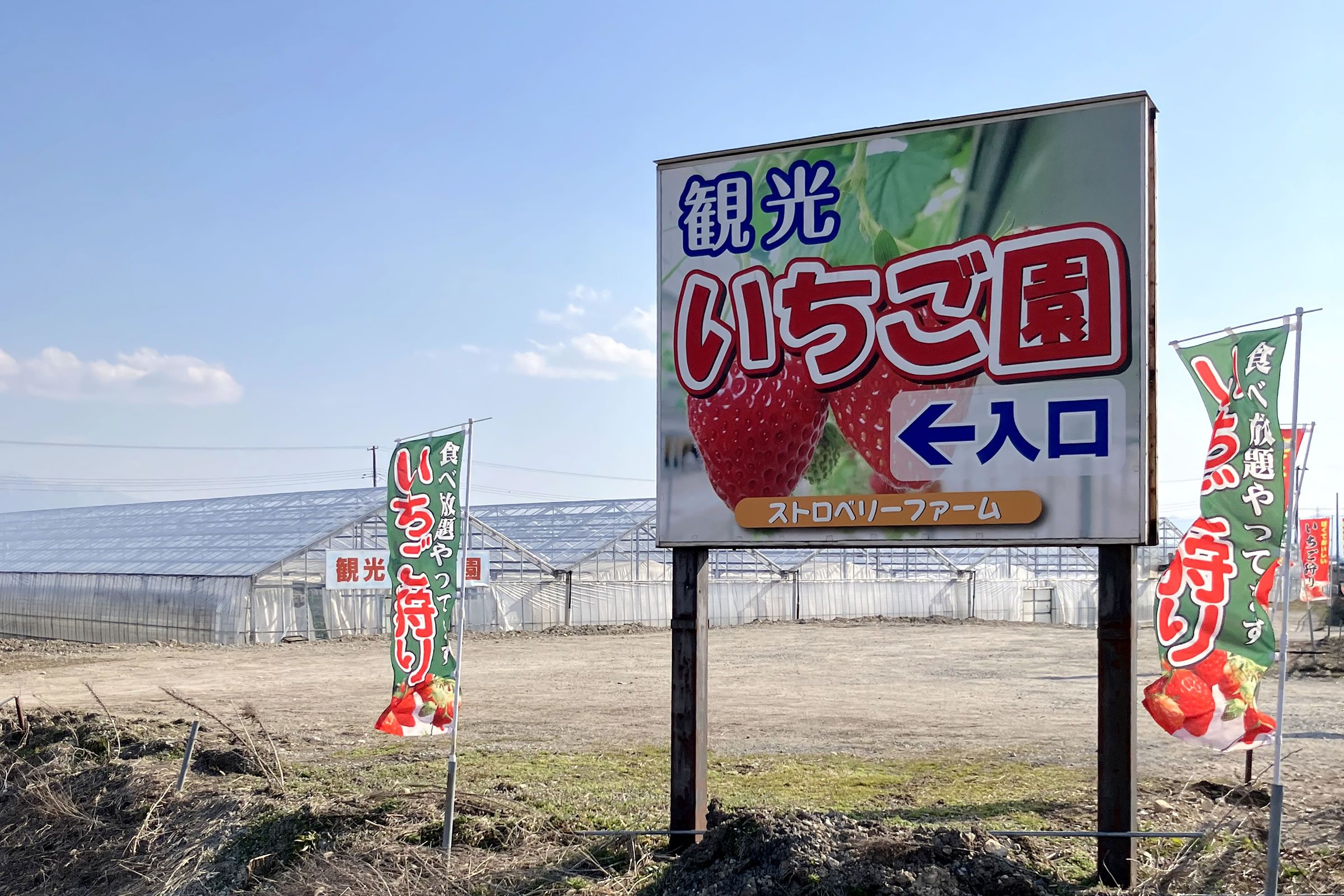 【いちご様】専用・赤/緑、各360ｇ≪リクエスト特割特価≫ さがえグリーンパーク｜いちご狩り・さくらんぼ狩り・農産物販売｜山形